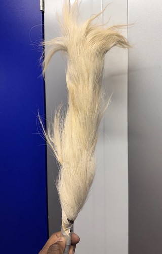 Traditional horse tail - traditional,