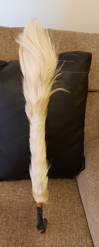 Traditional horse tail - horse,
